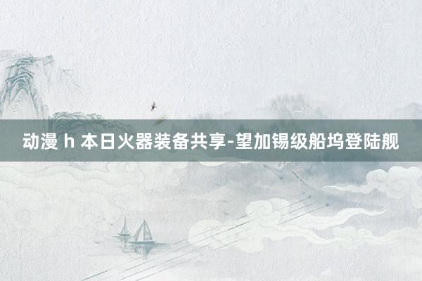 动漫 h 本日火器装备共享-望加锡级船坞登陆舰