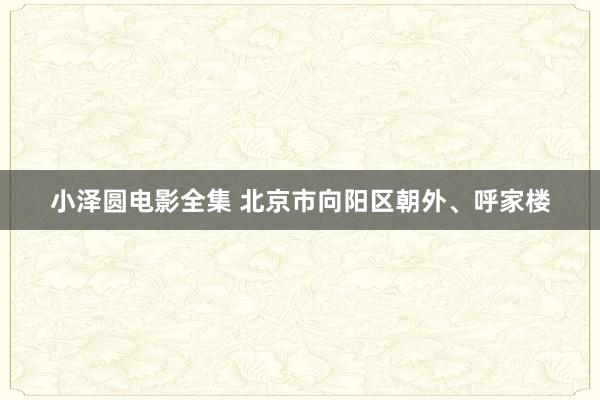 小泽圆电影全集 北京市向阳区朝外、呼家楼