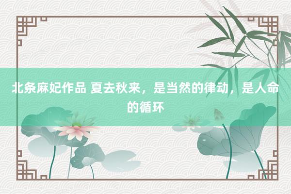 北条麻妃作品 夏去秋来，是当然的律动，是人命的循环