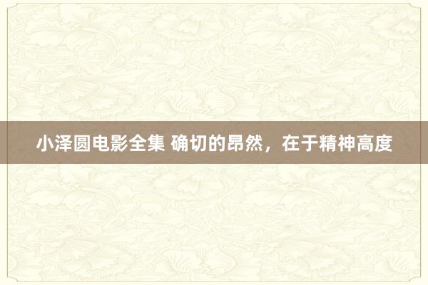 小泽圆电影全集 确切的昂然，在于精神高度