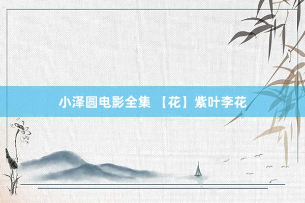 小泽圆电影全集 【花】紫叶李花