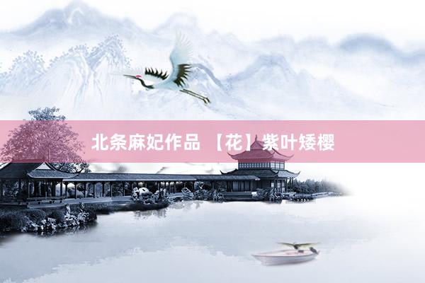 北条麻妃作品 【花】紫叶矮樱