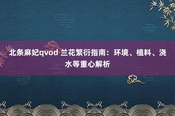 北条麻妃qvod 兰花繁衍指南：环境、植料、浇水等重心解析