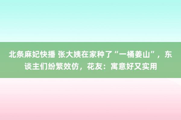 北条麻妃快播 张大姨在家种了“一桶姜山”，东谈主们纷繁效仿，花友：寓意好又实用