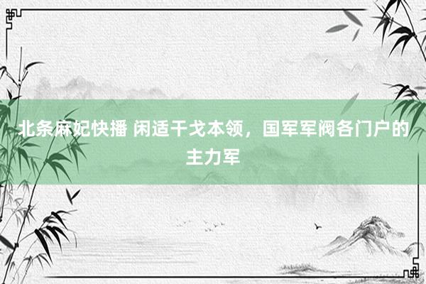 北条麻妃快播 闲适干戈本领，国军军阀各门户的主力军