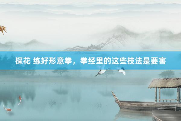探花 练好形意拳，拳经里的这些技法是要害